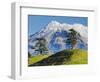 Lush hills in front of Mount Egmont-Jami Tarris-Framed Photographic Print