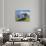 Lush hills in front of Mount Egmont-Jami Tarris-Photographic Print displayed on a wall