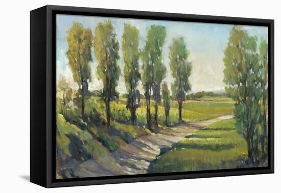 Lush Landscape I-Tim OToole-Framed Stretched Canvas