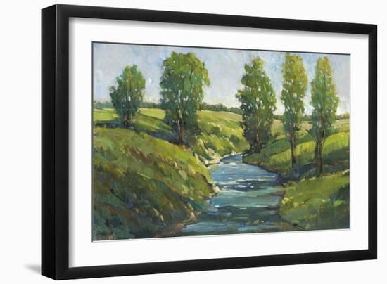 Lush Landscape III-Tim OToole-Framed Art Print