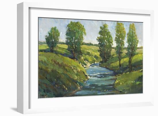 Lush Landscape III-Tim OToole-Framed Art Print