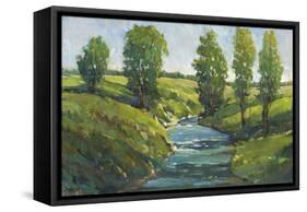 Lush Landscape III-Tim OToole-Framed Stretched Canvas