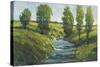 Lush Landscape III-Tim OToole-Stretched Canvas