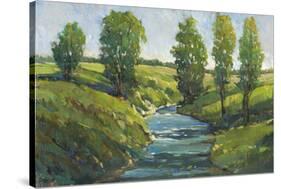 Lush Landscape III-Tim OToole-Stretched Canvas