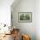 Lush Landscape III-Tim OToole-Framed Premium Giclee Print displayed on a wall