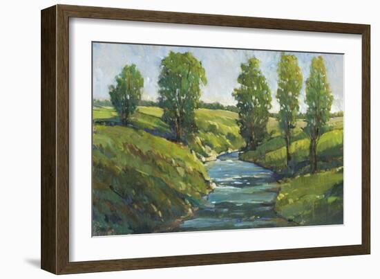 Lush Landscape III-Tim OToole-Framed Premium Giclee Print