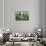 Lush Landscape III-Tim OToole-Framed Stretched Canvas displayed on a wall