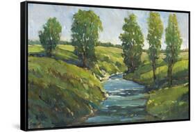 Lush Landscape III-Tim OToole-Framed Stretched Canvas