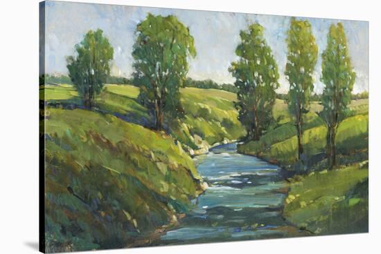 Lush Landscape III-Tim OToole-Stretched Canvas