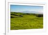 Lush pasture land, Waimea, Big Island, Hawaii-Mark A Johnson-Framed Photographic Print