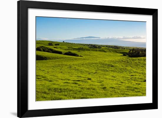 Lush pasture land, Waimea, Big Island, Hawaii-Mark A Johnson-Framed Photographic Print