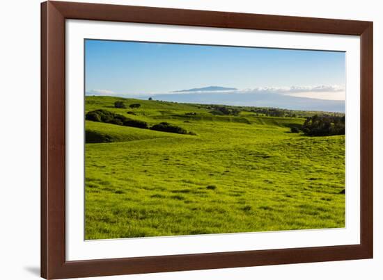 Lush pasture land, Waimea, Big Island, Hawaii-Mark A Johnson-Framed Photographic Print