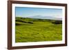 Lush pasture land, Waimea, Big Island, Hawaii-Mark A Johnson-Framed Photographic Print
