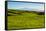 Lush pasture land, Waimea, Big Island, Hawaii-Mark A Johnson-Framed Stretched Canvas