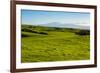 Lush pasture land, Waimea, Big Island, Hawaii-Mark A Johnson-Framed Photographic Print