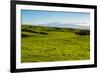 Lush pasture land, Waimea, Big Island, Hawaii-Mark A Johnson-Framed Photographic Print