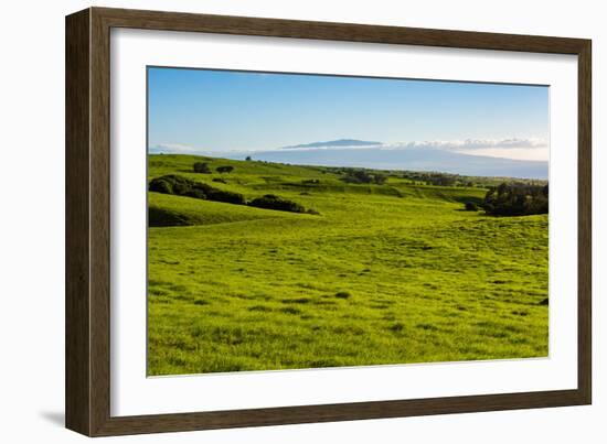 Lush pasture land, Waimea, Big Island, Hawaii-Mark A Johnson-Framed Photographic Print