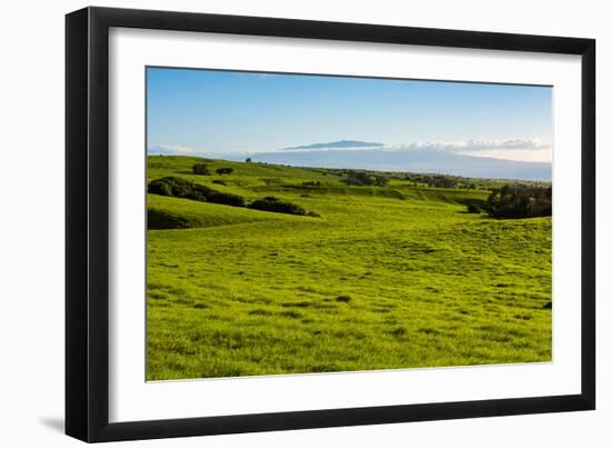 Lush pasture land, Waimea, Big Island, Hawaii-Mark A Johnson-Framed Photographic Print