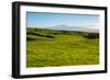 Lush pasture land, Waimea, Big Island, Hawaii-Mark A Johnson-Framed Photographic Print