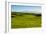 Lush pasture land, Waimea, Big Island, Hawaii-Mark A Johnson-Framed Photographic Print