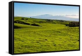 Lush pasture land, Waimea, Big Island, Hawaii-Mark A Johnson-Framed Stretched Canvas