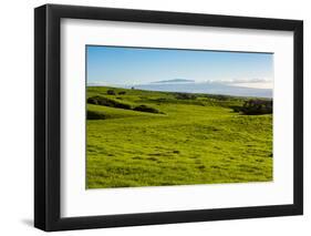 Lush pasture land, Waimea, Big Island, Hawaii-Mark A Johnson-Framed Photographic Print