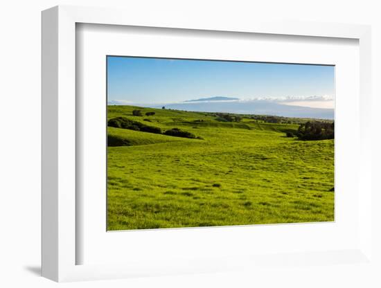 Lush pasture land, Waimea, Big Island, Hawaii-Mark A Johnson-Framed Photographic Print