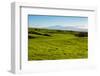 Lush pasture land, Waimea, Big Island, Hawaii-Mark A Johnson-Framed Photographic Print