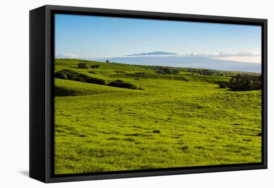 Lush pasture land, Waimea, Big Island, Hawaii-Mark A Johnson-Framed Stretched Canvas