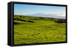 Lush pasture land, Waimea, Big Island, Hawaii-Mark A Johnson-Framed Stretched Canvas