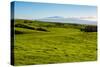 Lush pasture land, Waimea, Big Island, Hawaii-Mark A Johnson-Stretched Canvas