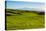 Lush pasture land, Waimea, Big Island, Hawaii-Mark A Johnson-Stretched Canvas