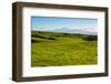 Lush pasture land, Waimea, Big Island, Hawaii-Mark A Johnson-Framed Premium Photographic Print