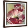 Lush Poppy-Brent Heighton-Framed Art Print