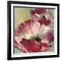 Lush Poppy-Brent Heighton-Framed Art Print