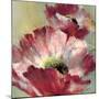 Lush Poppy-Brent Heighton-Mounted Art Print