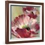 Lush Poppy-Brent Heighton-Framed Art Print