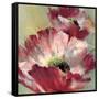 Lush Poppy-Brent Heighton-Framed Stretched Canvas