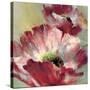 Lush Poppy-Brent Heighton-Stretched Canvas