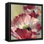 Lush Poppy-Brent Heighton-Framed Stretched Canvas