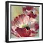 Lush Poppy-Brent Heighton-Framed Art Print