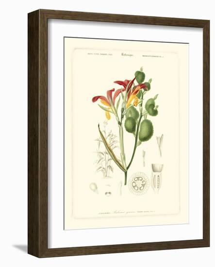 Lush Tropical I-Vision Studio-Framed Art Print