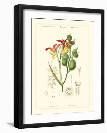 Lush Tropical I-Vision Studio-Framed Art Print