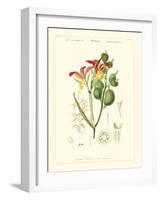 Lush Tropical I-Vision Studio-Framed Art Print