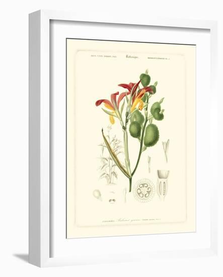 Lush Tropical I-Vision Studio-Framed Art Print