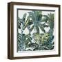 Lush Tropics-Tania Bello-Framed Art Print
