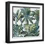 Lush Tropics-Tania Bello-Framed Art Print