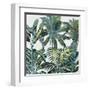 Lush Tropics-Tania Bello-Framed Art Print