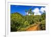 Lush vegetation along the Kalalau Trail on the Na Pali Coast, Island of Kauai, Hawaii, USA-Russ Bishop-Framed Premium Photographic Print