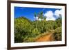 Lush vegetation along the Kalalau Trail on the Na Pali Coast, Island of Kauai, Hawaii, USA-Russ Bishop-Framed Premium Photographic Print